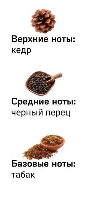 Shaik духи №511 Ziel Roz Fic 50 мл new